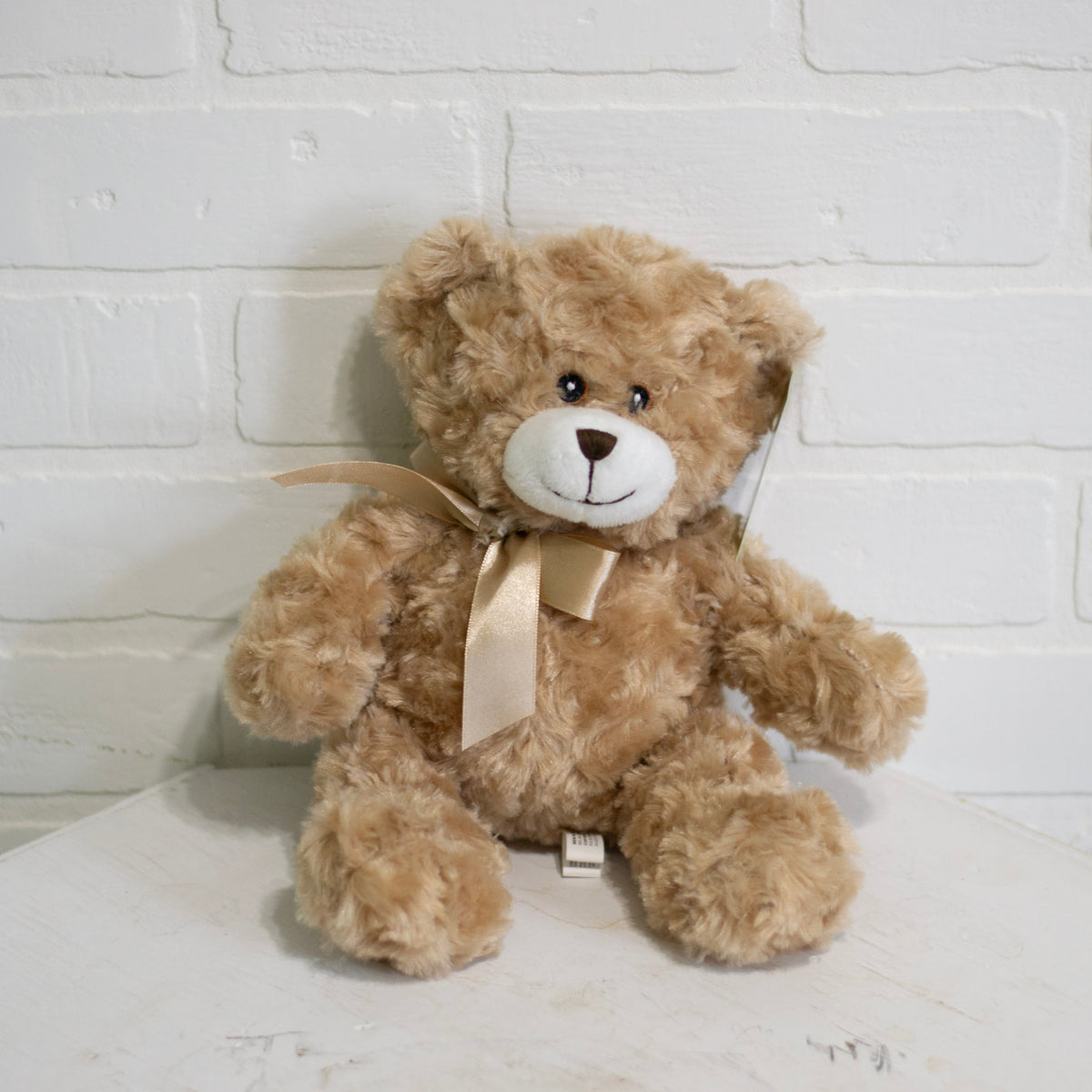 Brown Plush Bear – Janette Florists Inc, Windsor ON