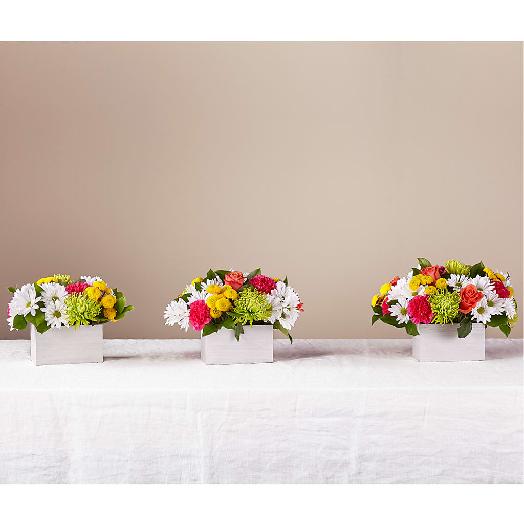 Sorbet Bouquet – Janette Florists Inc, Windsor ON