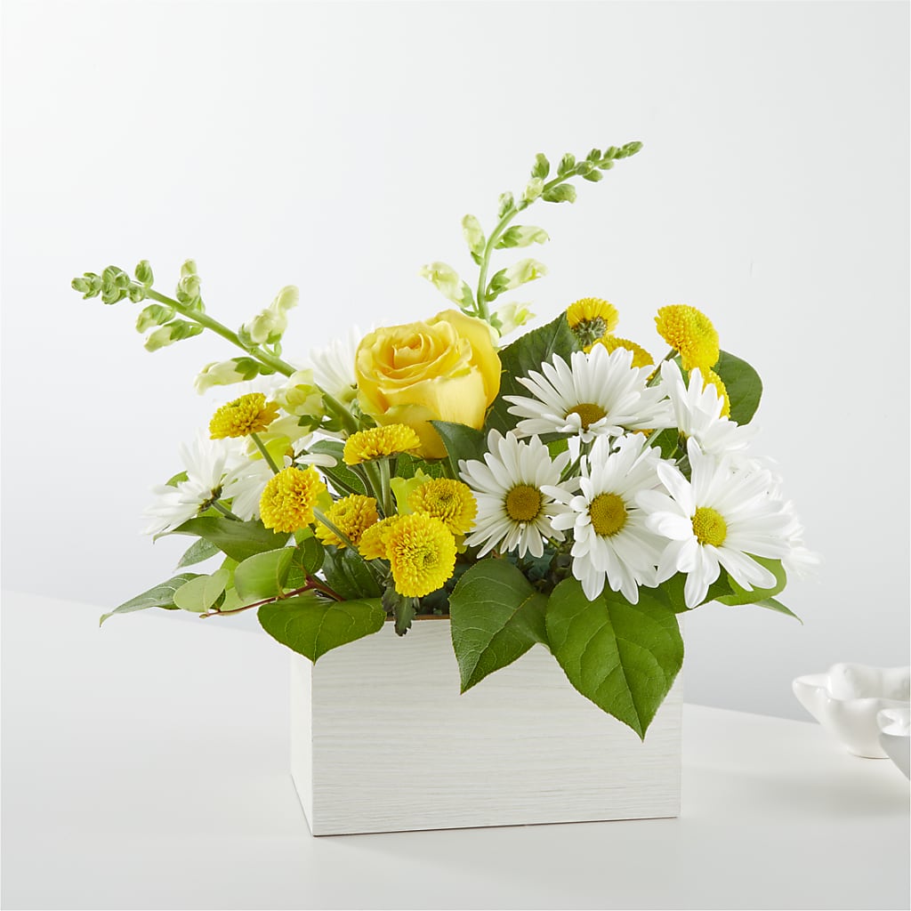 Sun Salutation Box Bouquet – Janette Florists Inc, Windsor ON
