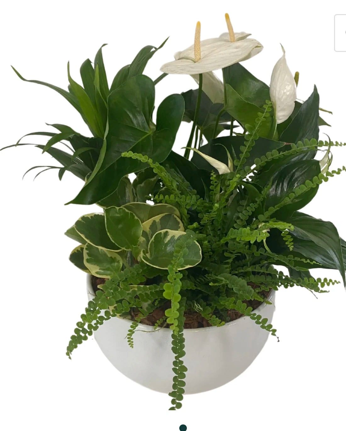 Tropical Planter – Janette Florists Inc, Windsor ON