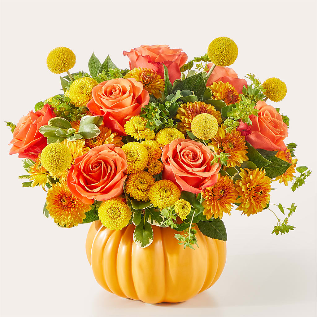 Gourdgeous Pumpkin – Janette Florists Inc, Windsor ON