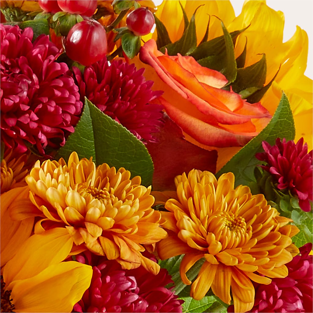 Sweater Season - A Florist Original – Janette Florists Inc, Windsor ON