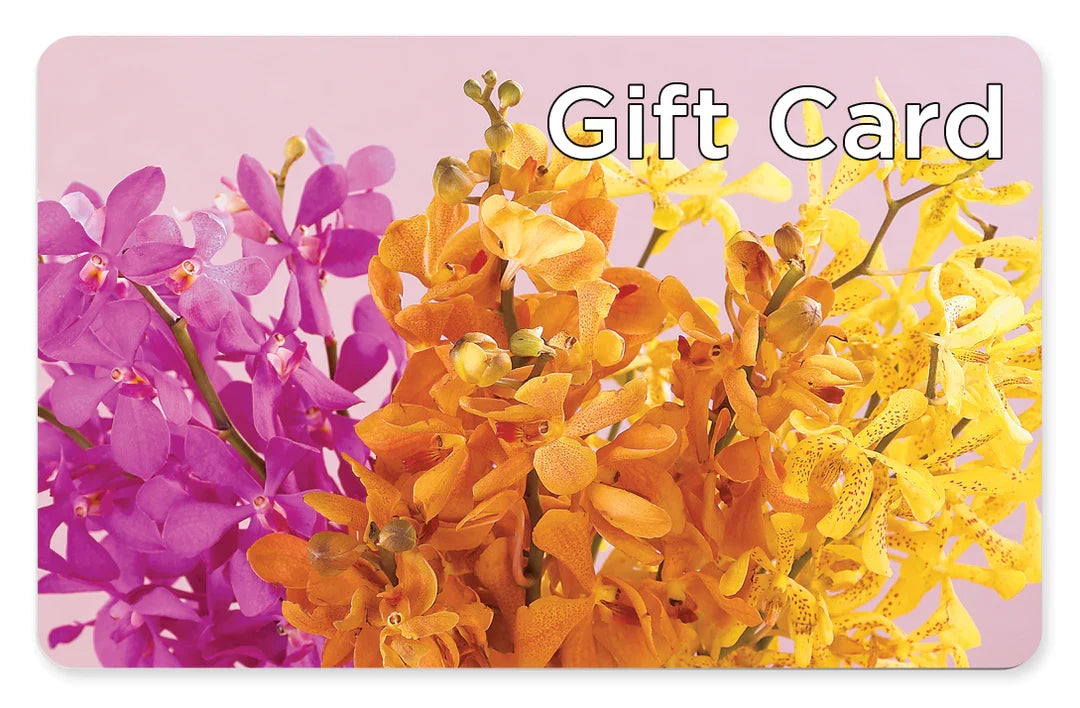 Gift Card – Janette Florists Inc, Windsor ON