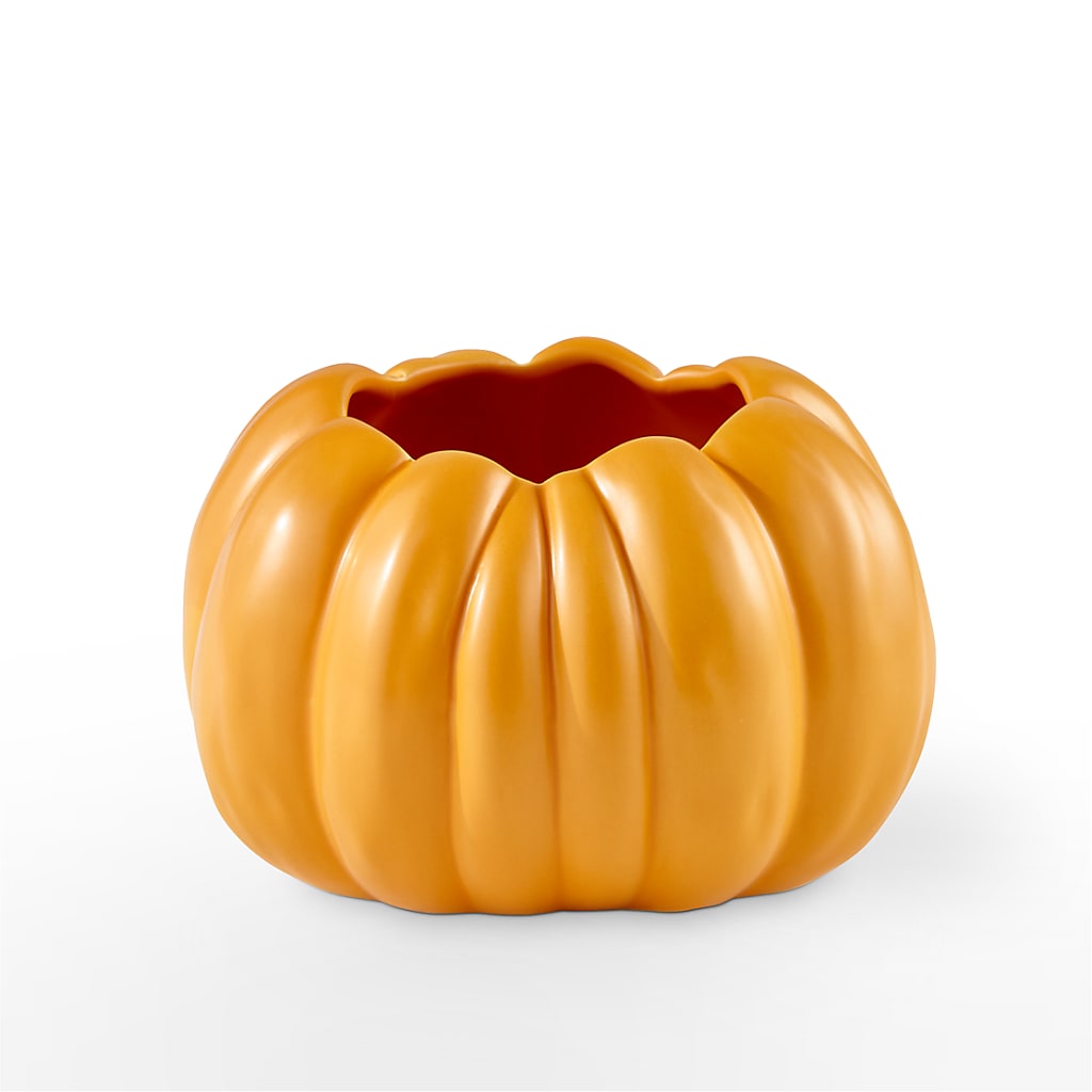 Pick of the Patch Pumpkin Bouquet – Janette Florists Inc, Windsor ON