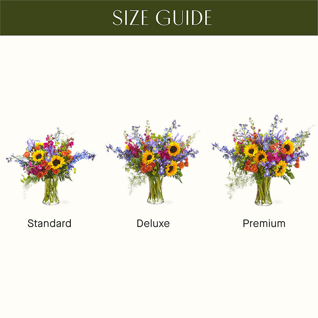 Rays of Life Bouquet – Janette Florists Inc, Windsor ON