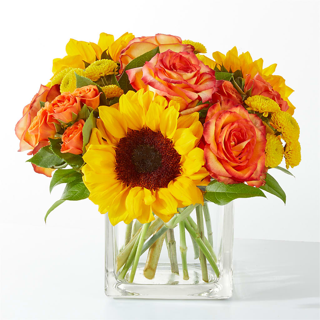 Picnic in the Park Bouquet – Janette Florists Inc, Windsor ON