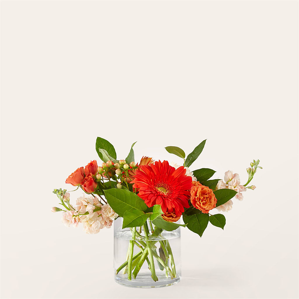 Paloma Please Bouquet – Janette Florists Inc, Windsor ON