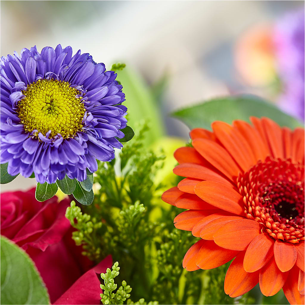Bold & Bright – A Florist Original –  Janette Florists Inc, Windsor ON