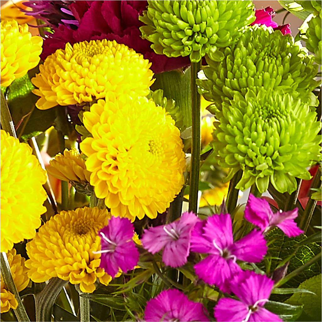 Bold & Bright – A Florist Original –  Janette Florists Inc, Windsor ON