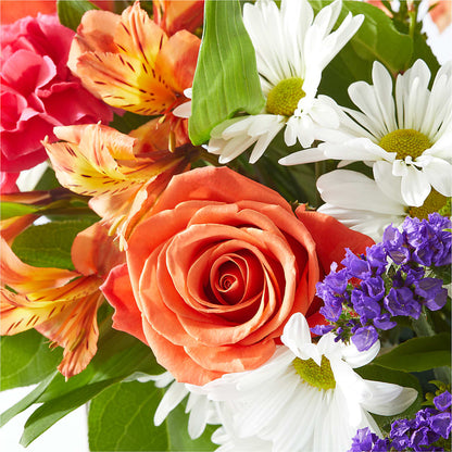 Oopsie Daisy Box Bouquet –  Janette Florists Inc, Windsor ON