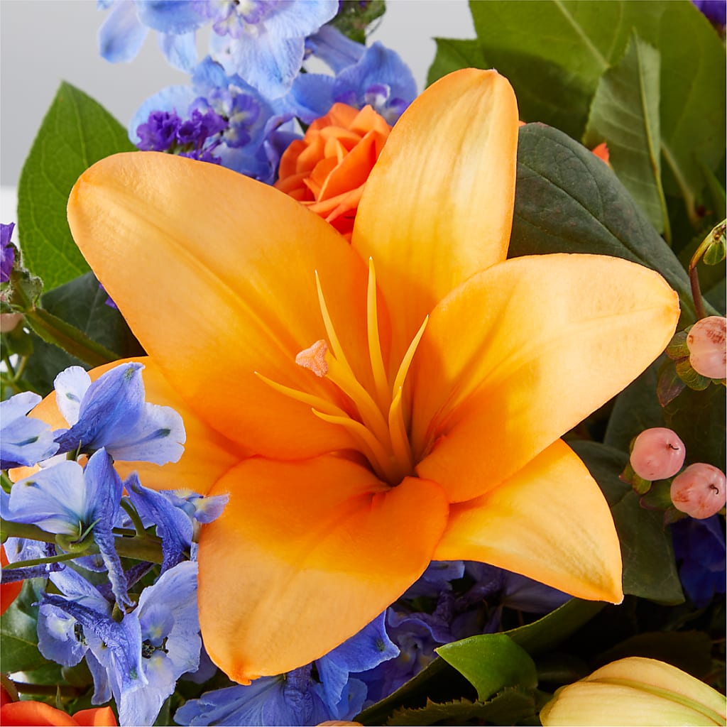 Radiant Citrus Box Bouquet –  Janette Florists Inc, Windsor ON