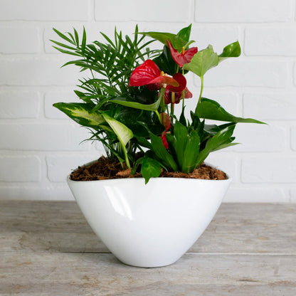 Eilleen Planter –  Janette Florists Inc, Windsor ON