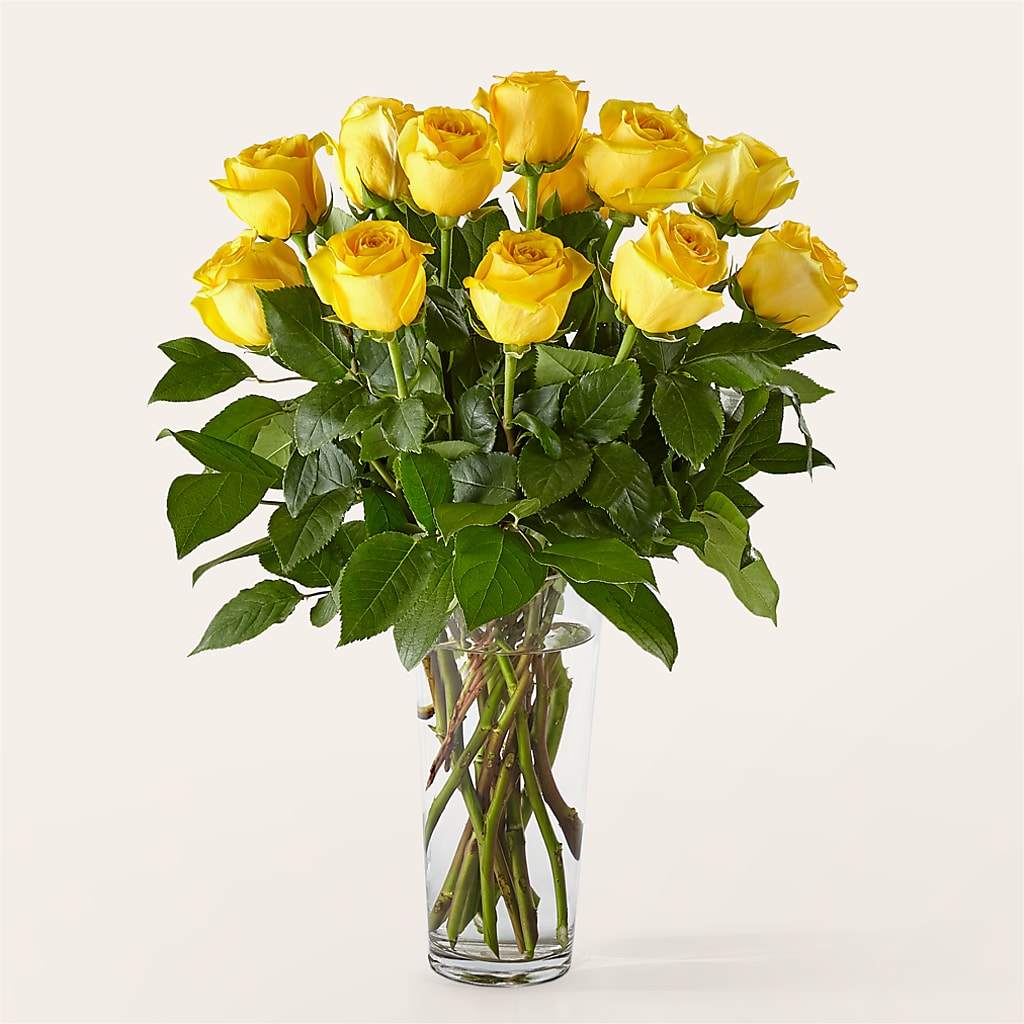 Long Stem Yellow Rose Bouquet –  Janette Florists Inc, Windsor ON