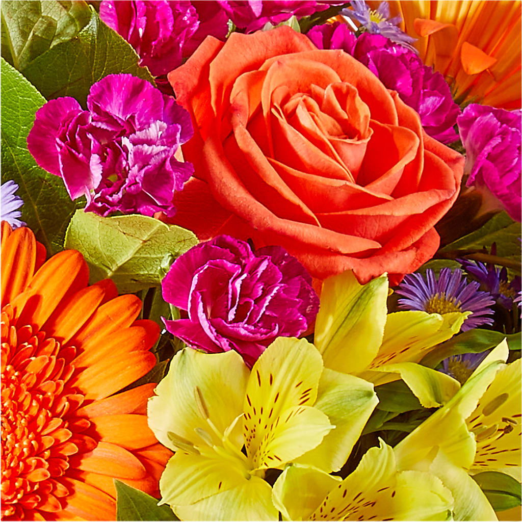 Tricks & Treats Pumpkin –  Janette Florists Inc, Windsor ON