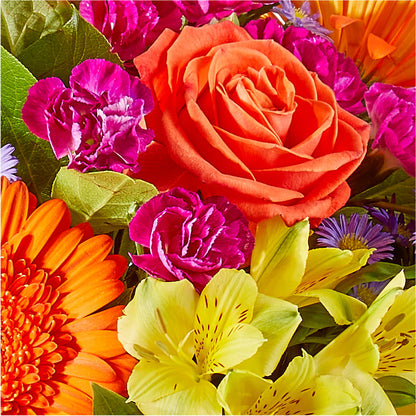 Tricks & Treats Pumpkin –  Janette Florists Inc, Windsor ON