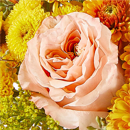 Peachy Pumpkin –  Janette Florists Inc, Windsor ON