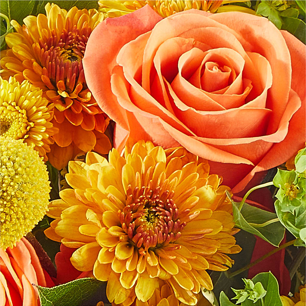 Gourdgeous Pumpkin –  Janette Florists Inc, Windsor ON