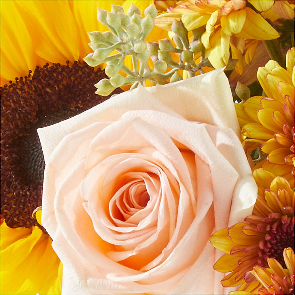 Pumpkin to Talk About Bouquet –  Janette Florists Inc, Windsor ON