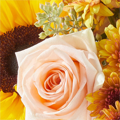 Pumpkin to Talk About Bouquet –  Janette Florists Inc, Windsor ON