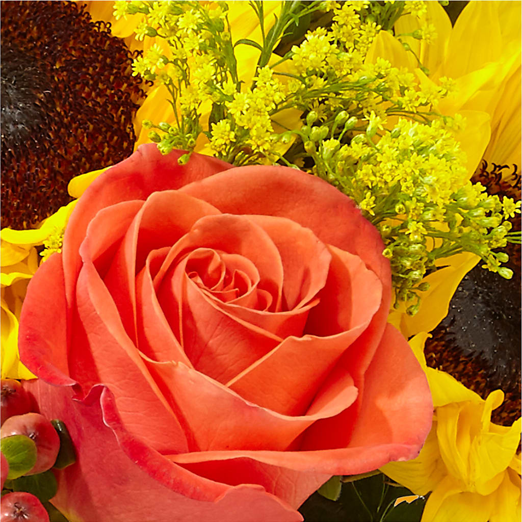 Pick of the Patch Pumpkin Bouquet –  Janette Florists Inc, Windsor ON