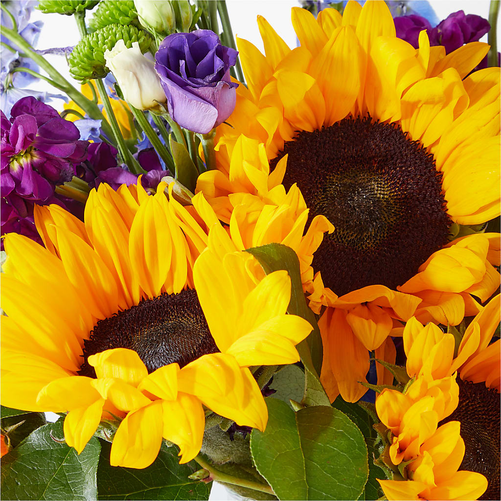 Catching Rays Bouquet –  Janette Florists Inc, Windsor ON
