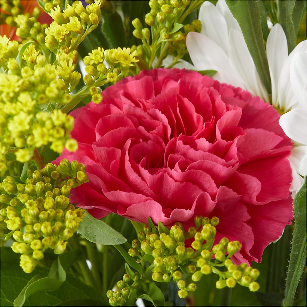 Oopsie Daisy Bouquet –  Janette Florists Inc, Windsor ON