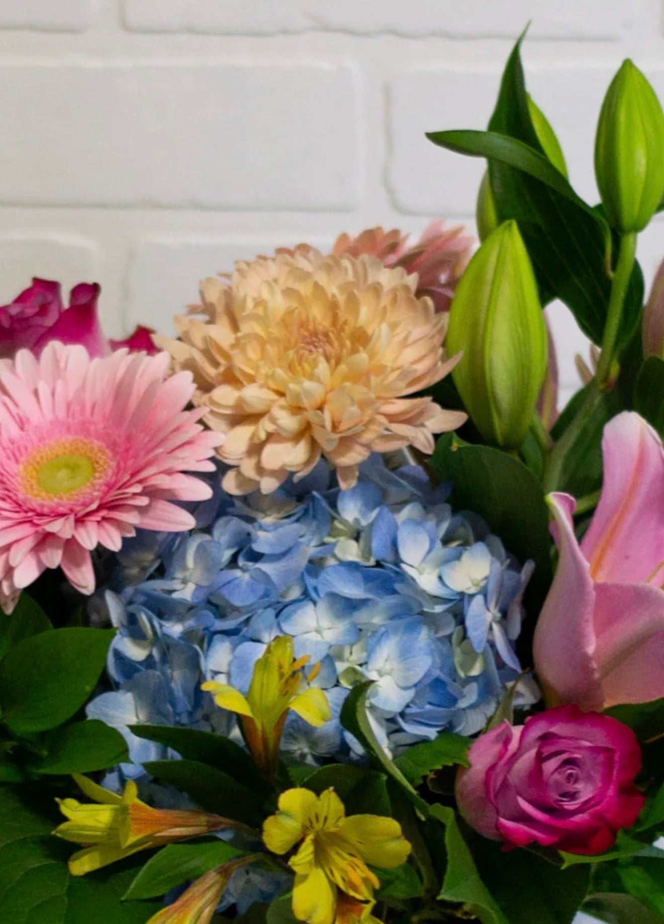 Florist Choice - bright and cheerful