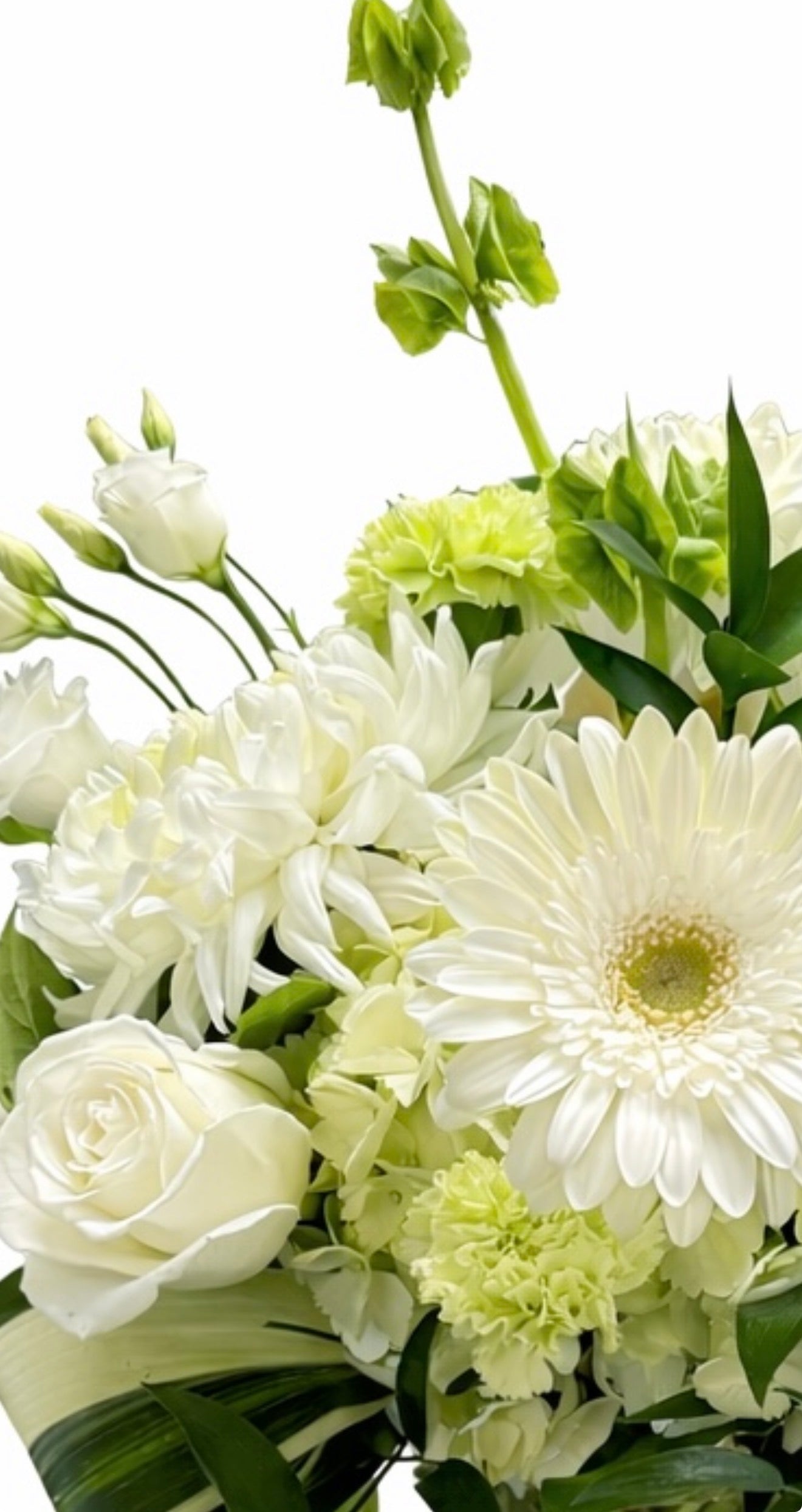Florist choice - classic elegance