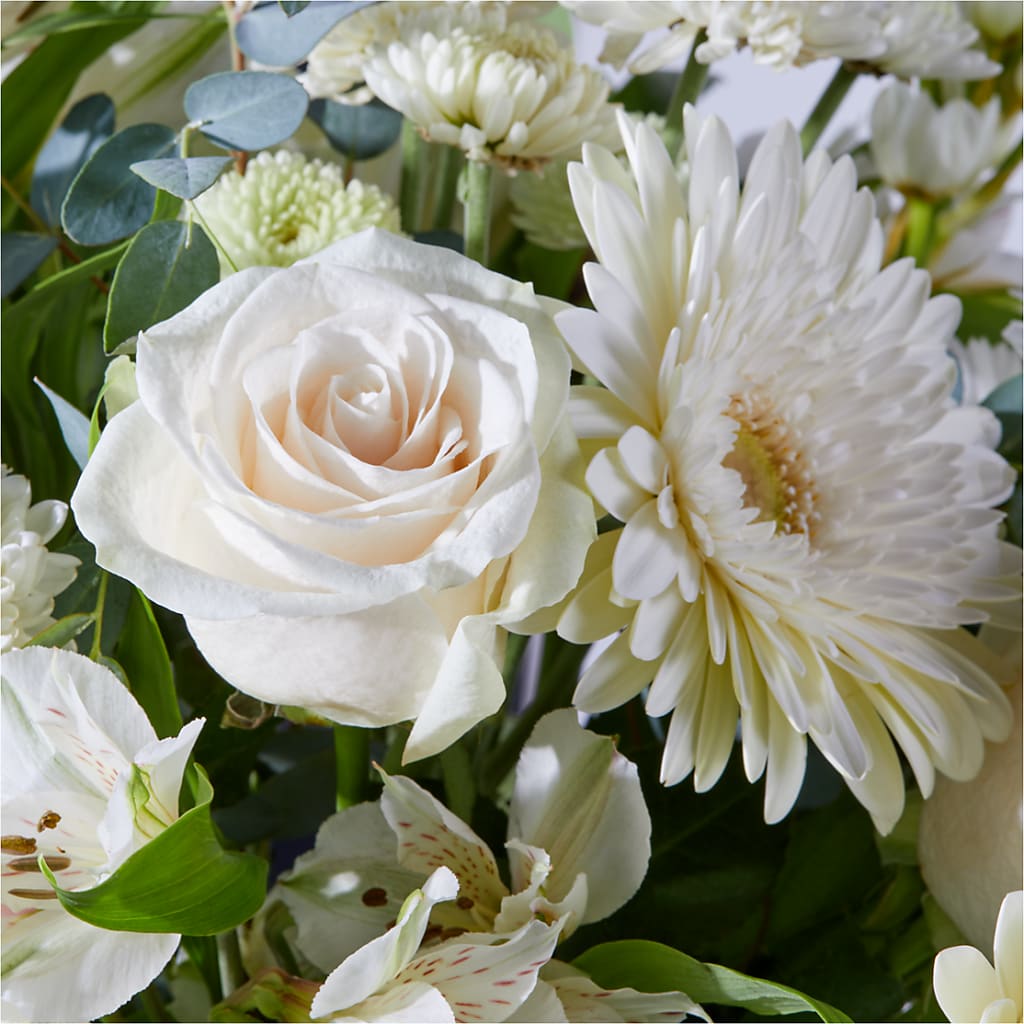 New Beginnings – A Florist Original –  Janette Florists Inc, Windsor ON