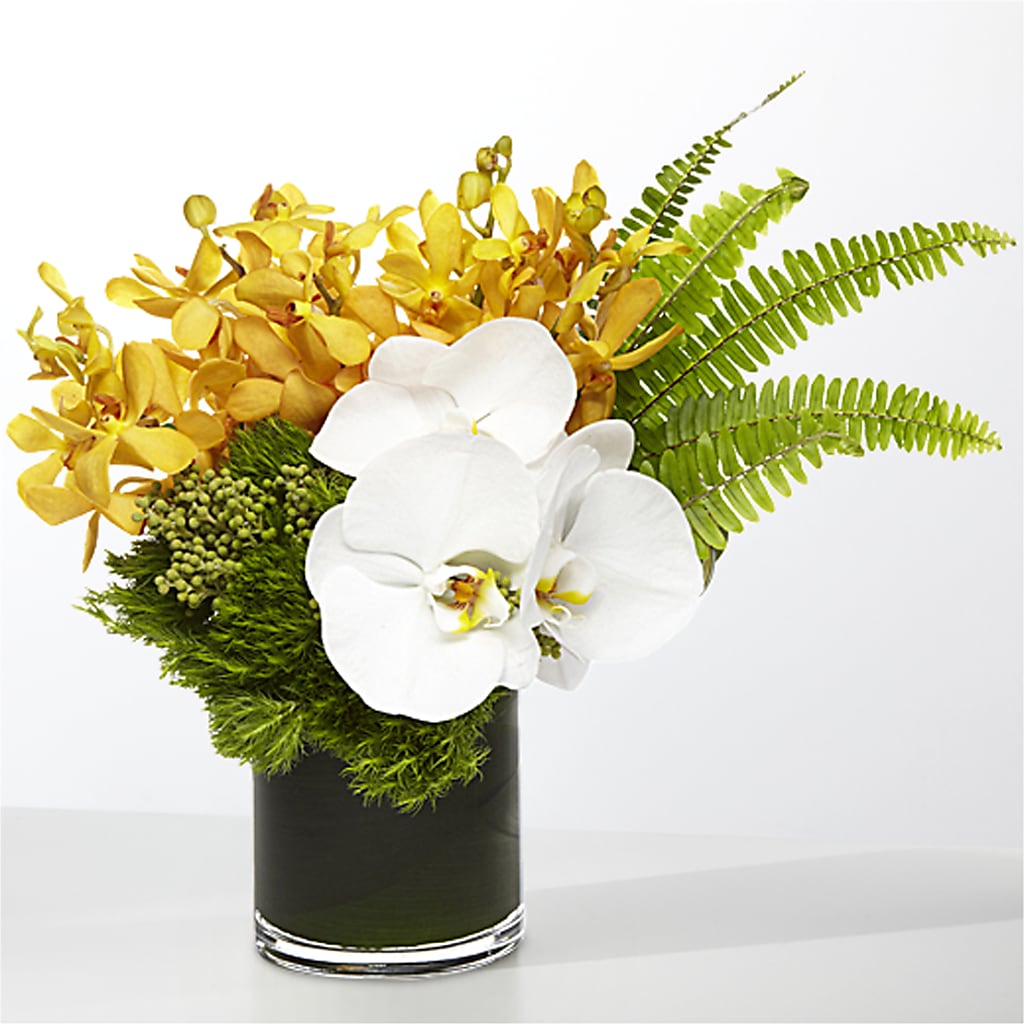 The Tropics –  Janette Florists Inc, Windsor ON
