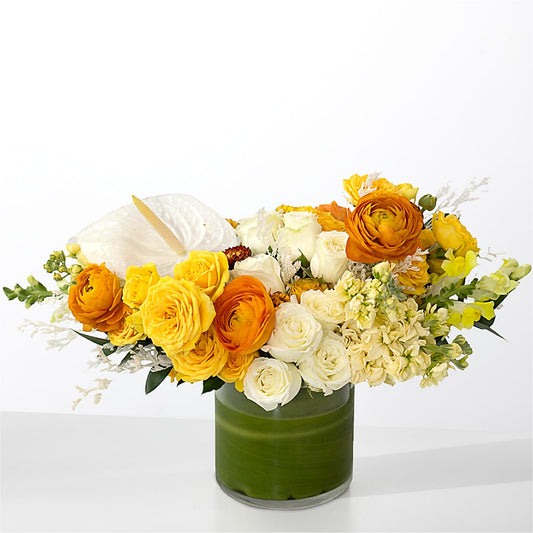 The Optimist –  Janette Florists Inc, Windsor ON