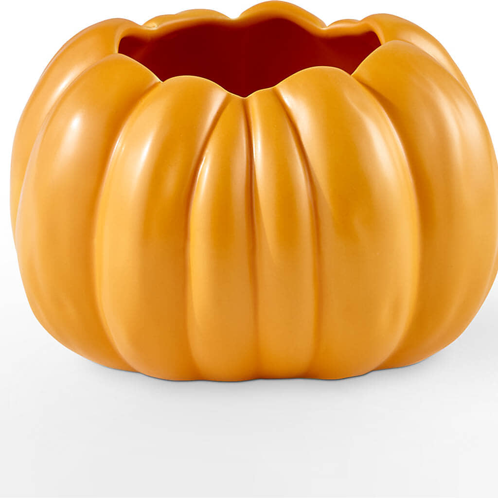 Golden Gourd Pumpkin Bouquet –  Janette Florists Inc, Windsor ON