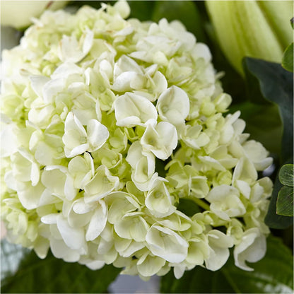 Classic Ivory – A Florist Original –  Janette Florists Inc, Windsor ON
