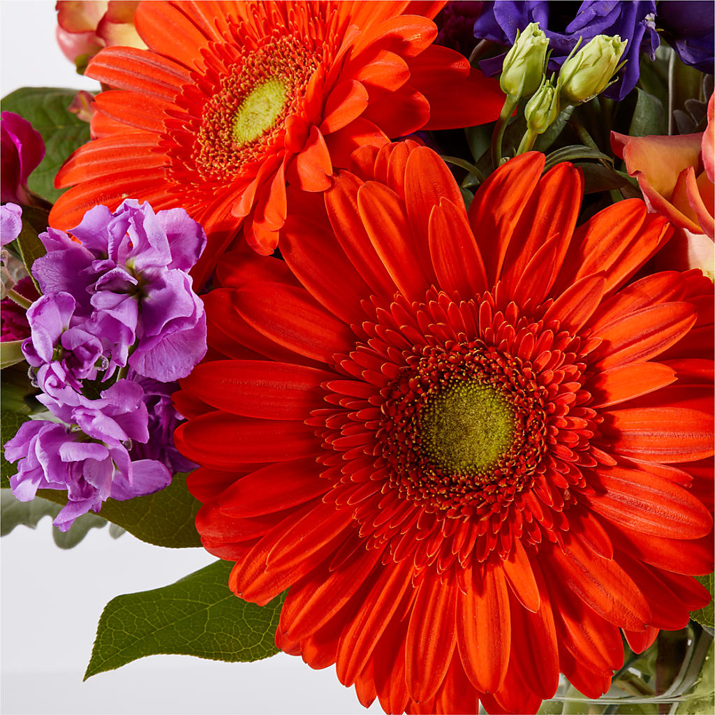 Sangria Bouquet –  Janette Florists Inc, Windsor ON