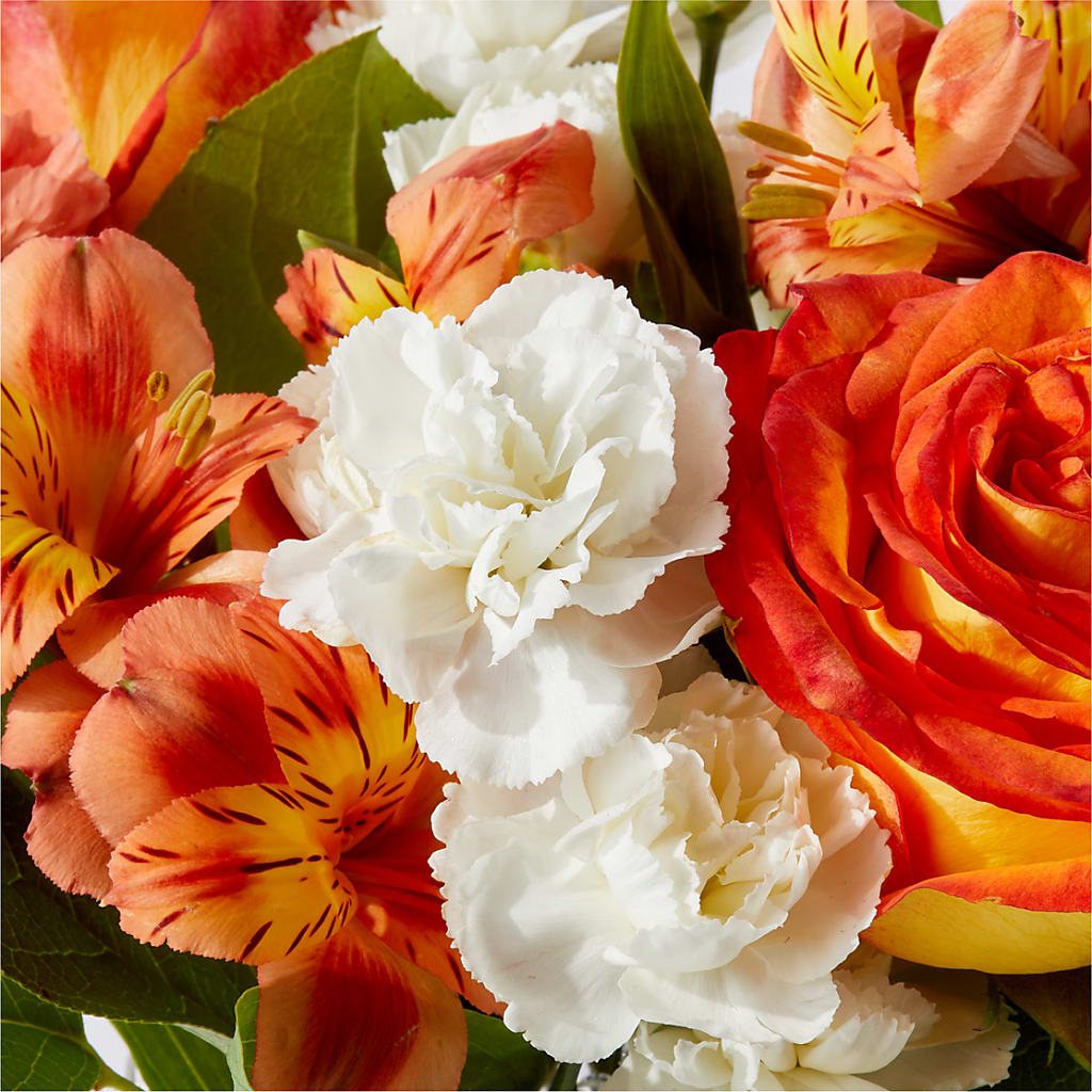 Apricot Glow Bouquet –  Janette Florists Inc, Windsor ON