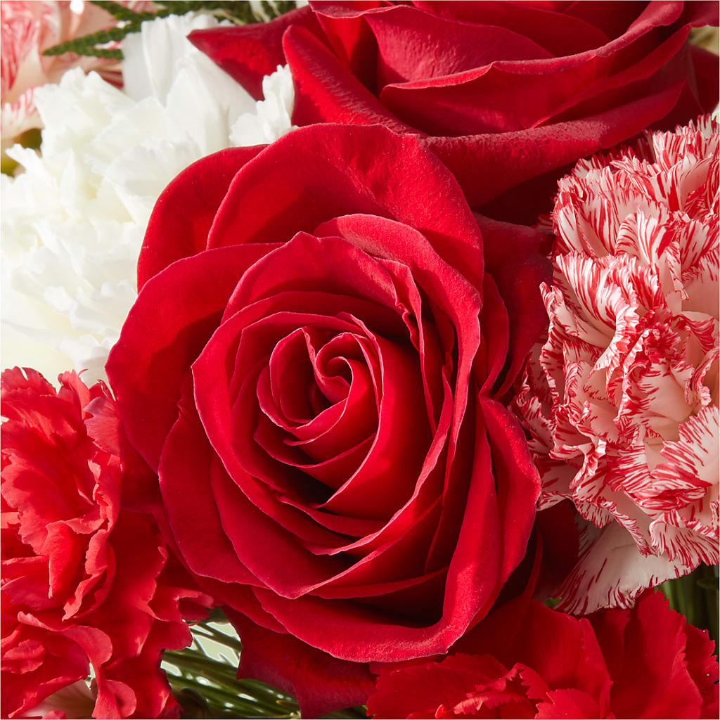 Candy Cane Lane Bouquet –  Janette Florists Inc, Windsor ON