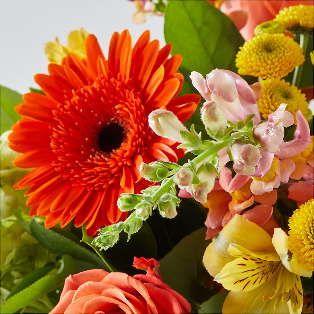Autumn Sunshine Bouquet –  Janette Florists Inc, Windsor ON