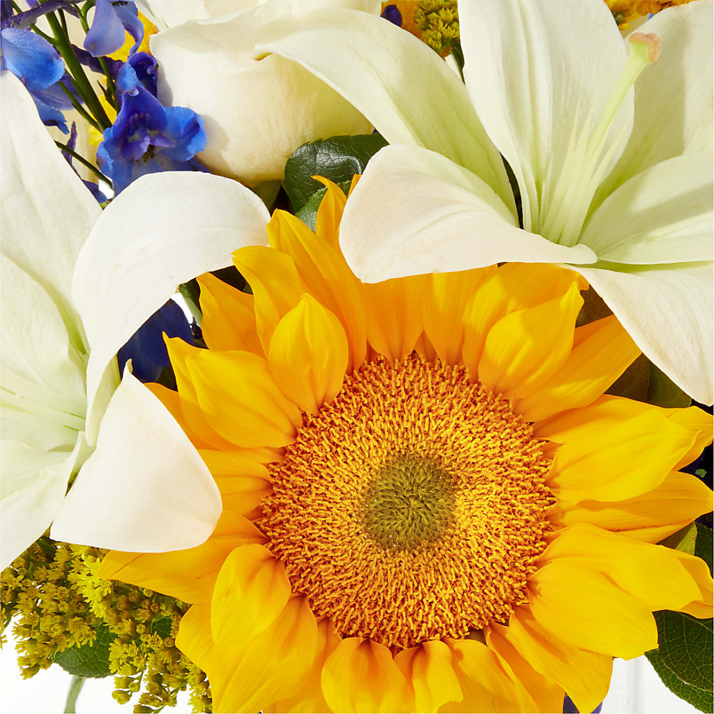 Stargazing Bouquet –  Janette Florists Inc, Windsor ON