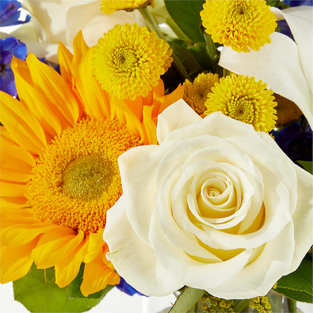 Stargazing Bouquet –  Janette Florists Inc, Windsor ON
