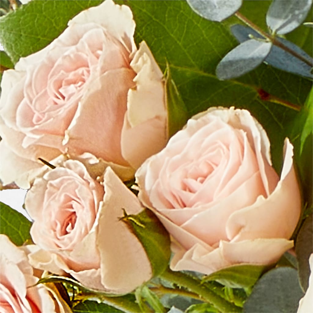 Inspired Bouquet –  Janette Florists Inc, Windsor ON