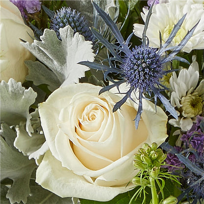 Shooting Star Bouquet –  Janette Florists Inc, Windsor ON