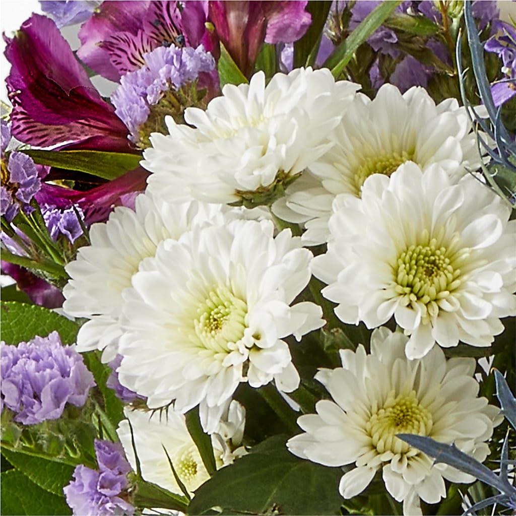 Shooting Star Bouquet –  Janette Florists Inc, Windsor ON