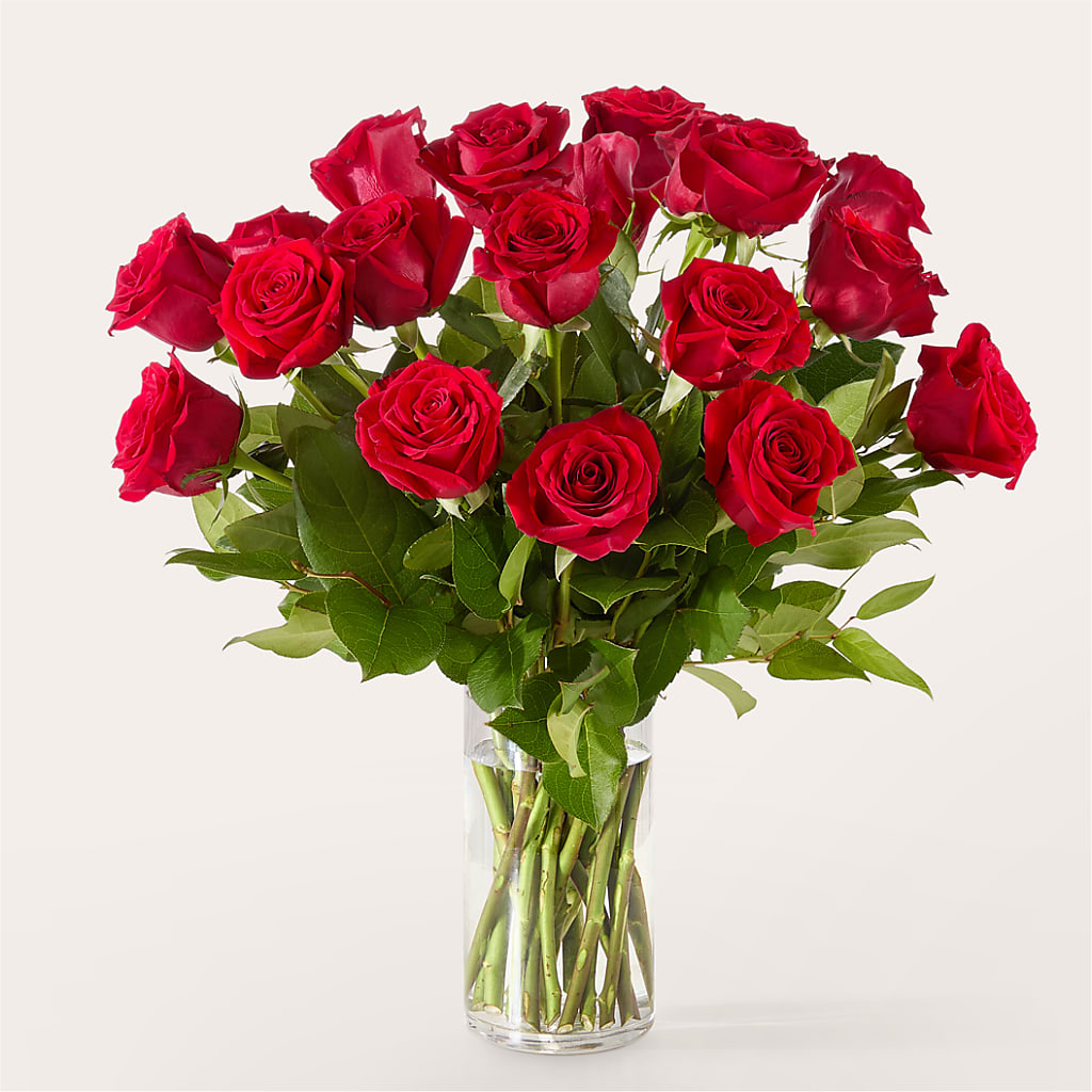 The One Red Rose Bouquet –  Janette Florists Inc, Windsor ON