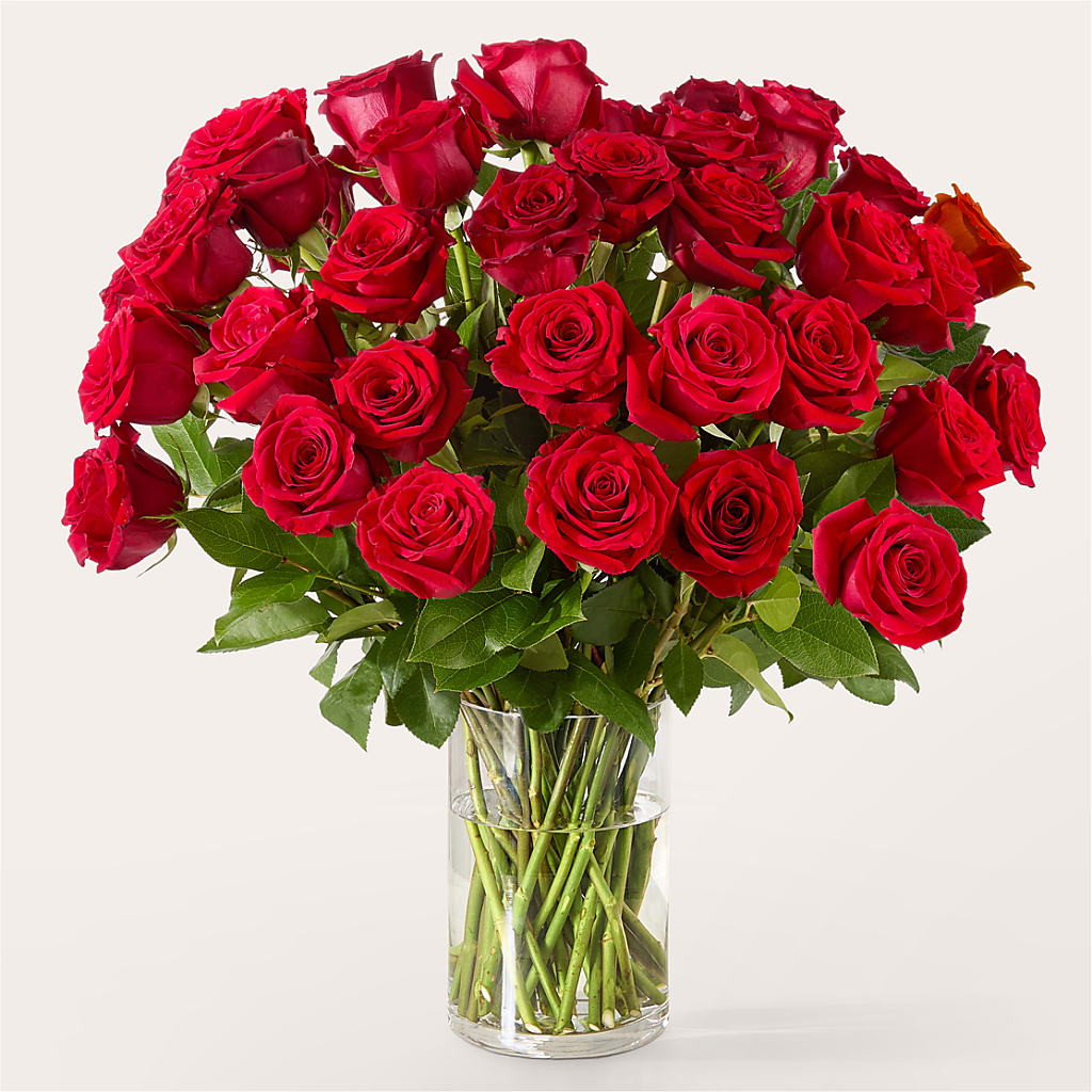 The One Red Rose Bouquet –  Janette Florists Inc, Windsor ON