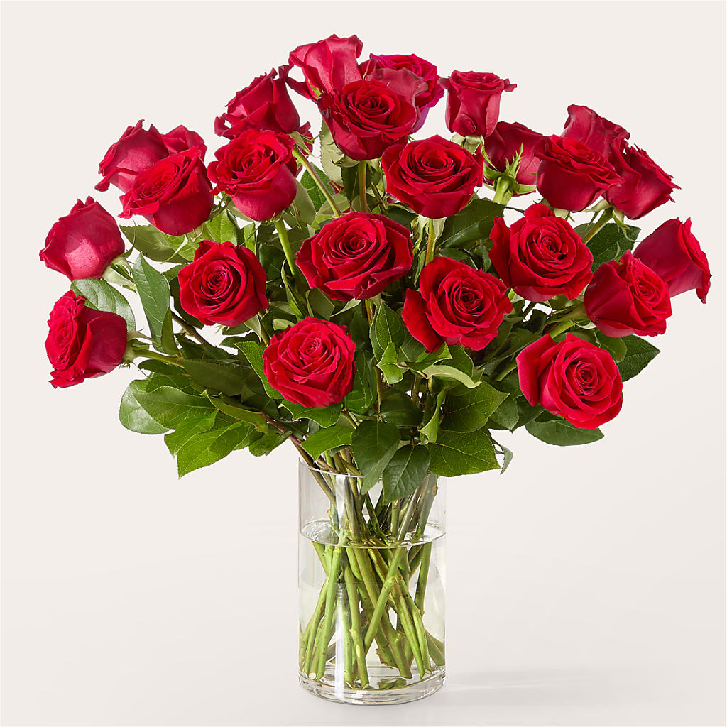 The One Red Rose Bouquet –  Janette Florists Inc, Windsor ON