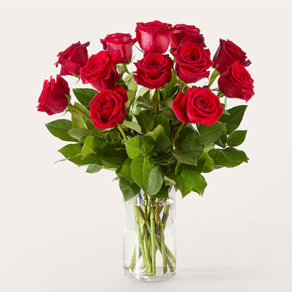 The One Red Rose Bouquet –  Janette Florists Inc, Windsor ON