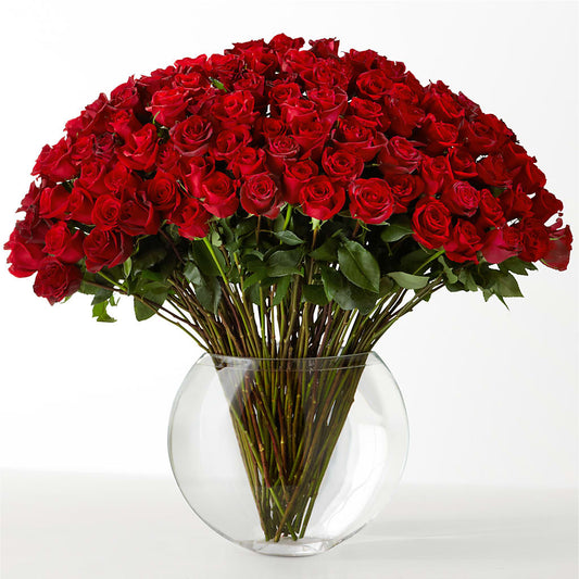 The Idealist –  Janette Florists Inc, Windsor ON