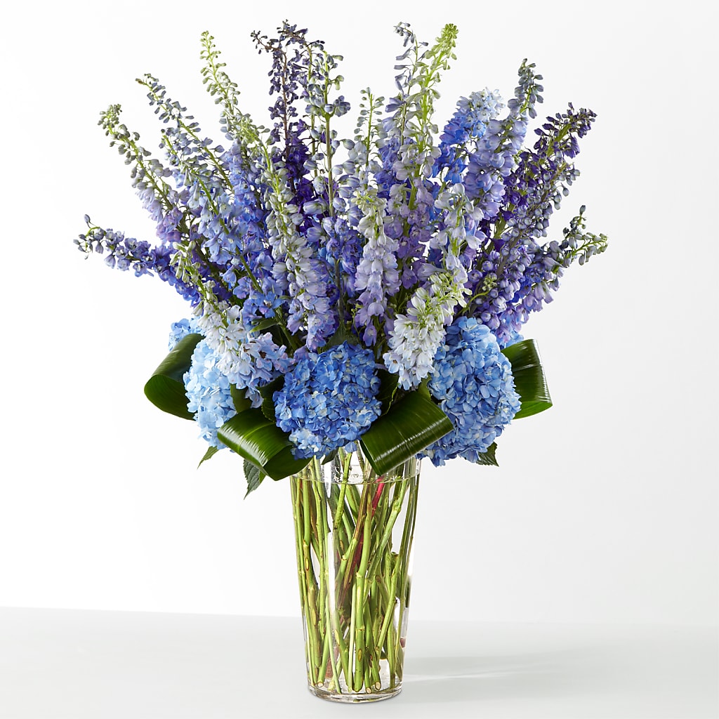 The Editorial –  Janette Florists Inc, Windsor ON